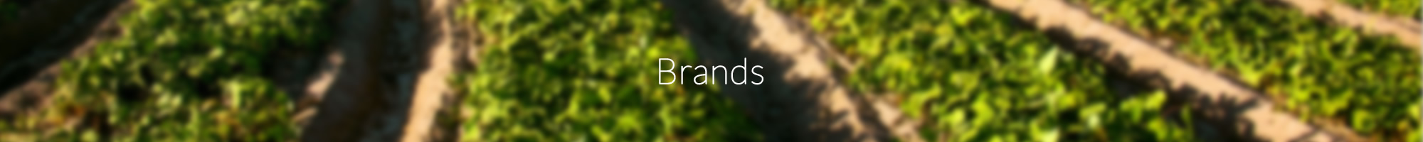 brandsbanner