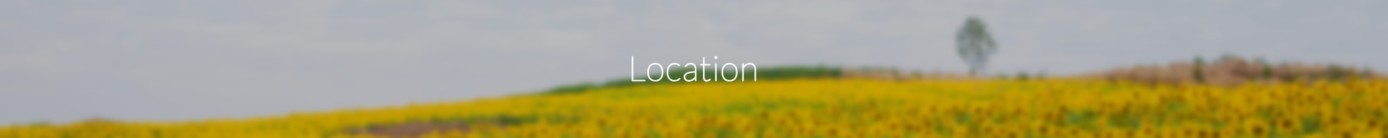 locationbanner