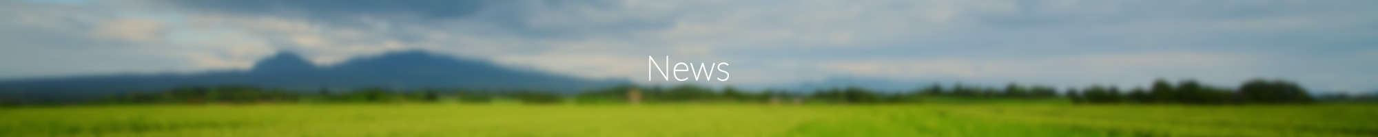 newsbanner